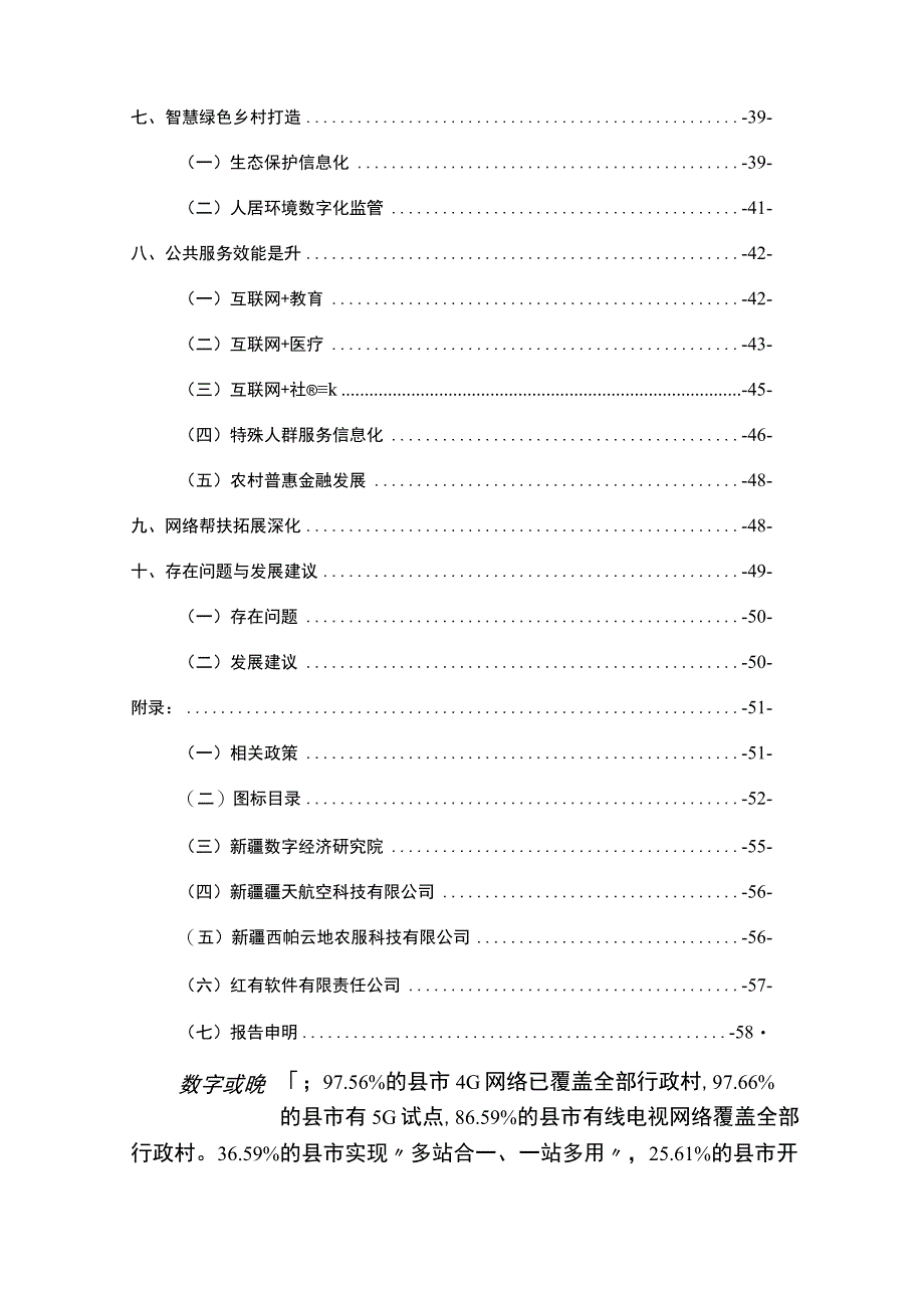 数字乡村发展调研报告.docx_第3页