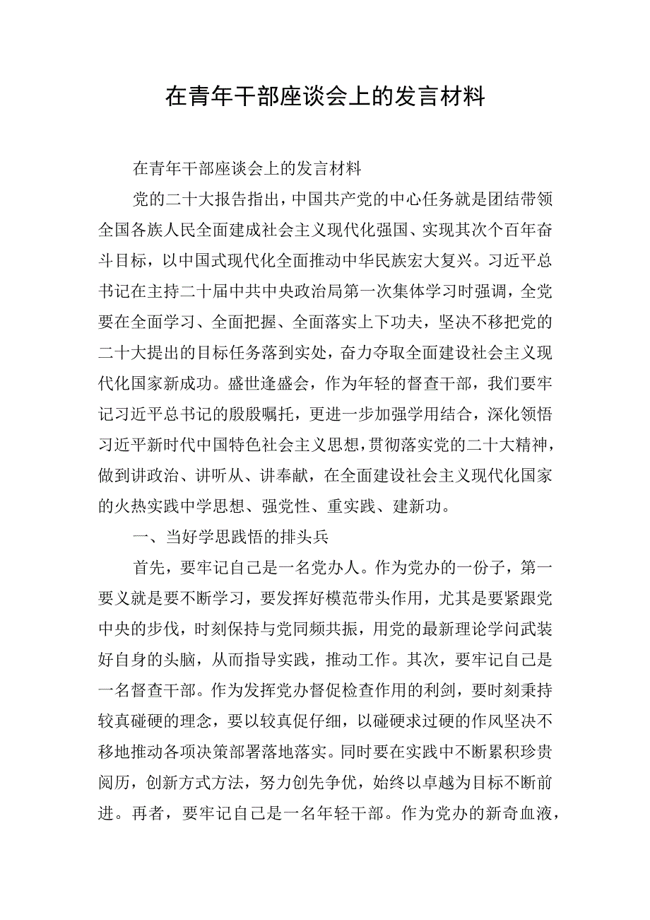 在青年干部座谈会上的发言材料.docx_第1页