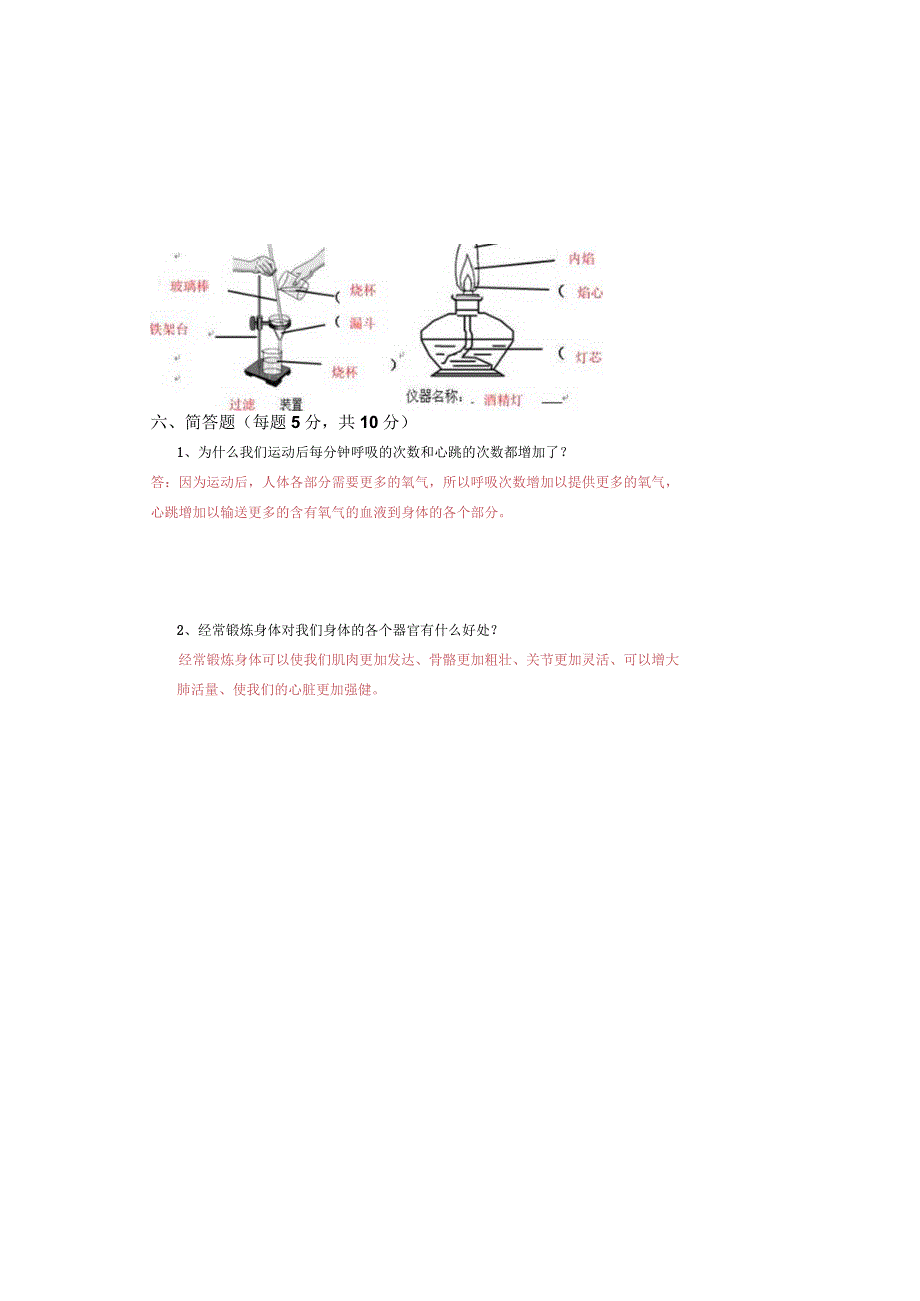 四年级科学答案清河小学2019年秋季学期期末模拟试卷.docx_第3页