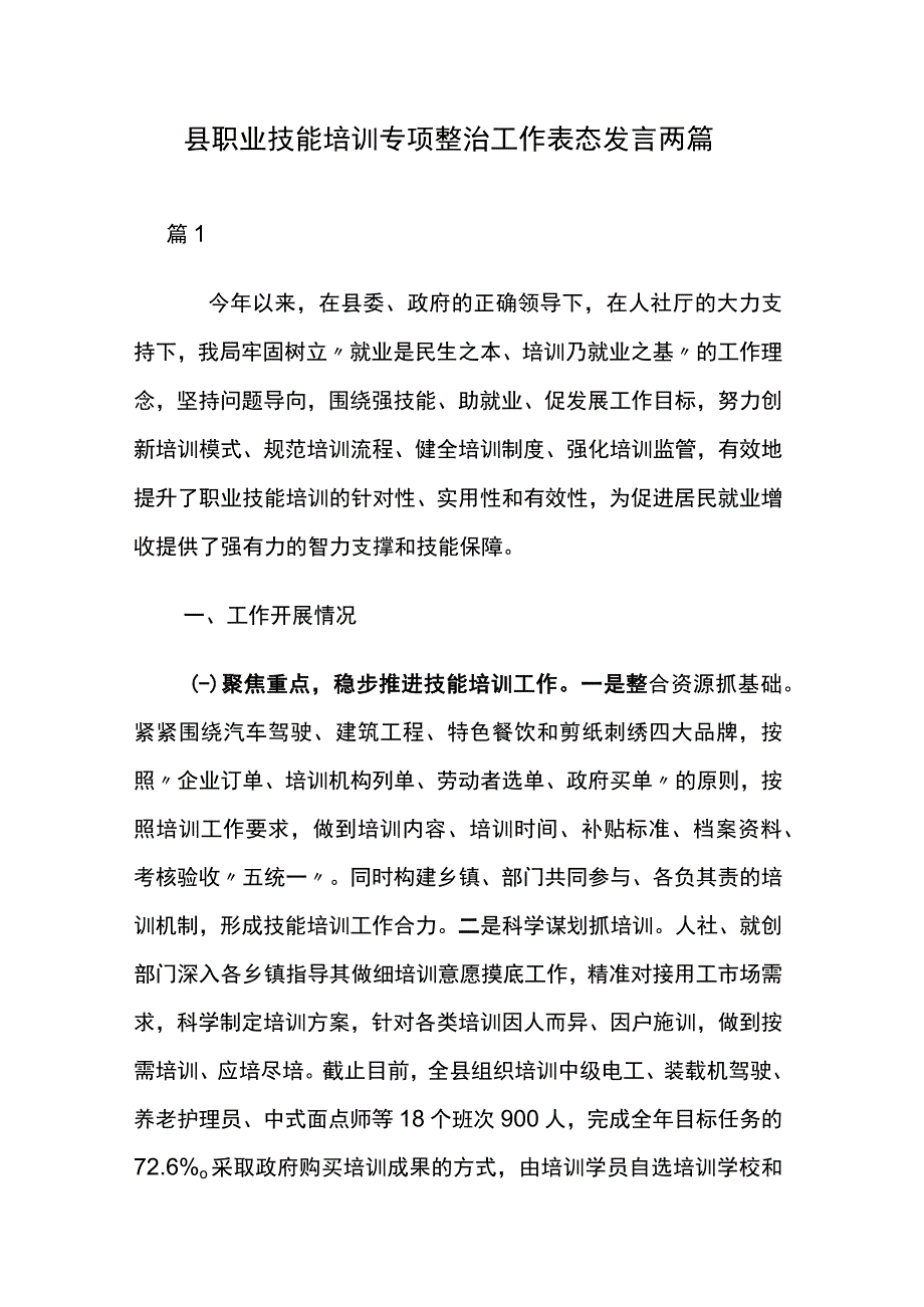 县职业技能培训专项整治工作表态发言两篇.docx_第1页