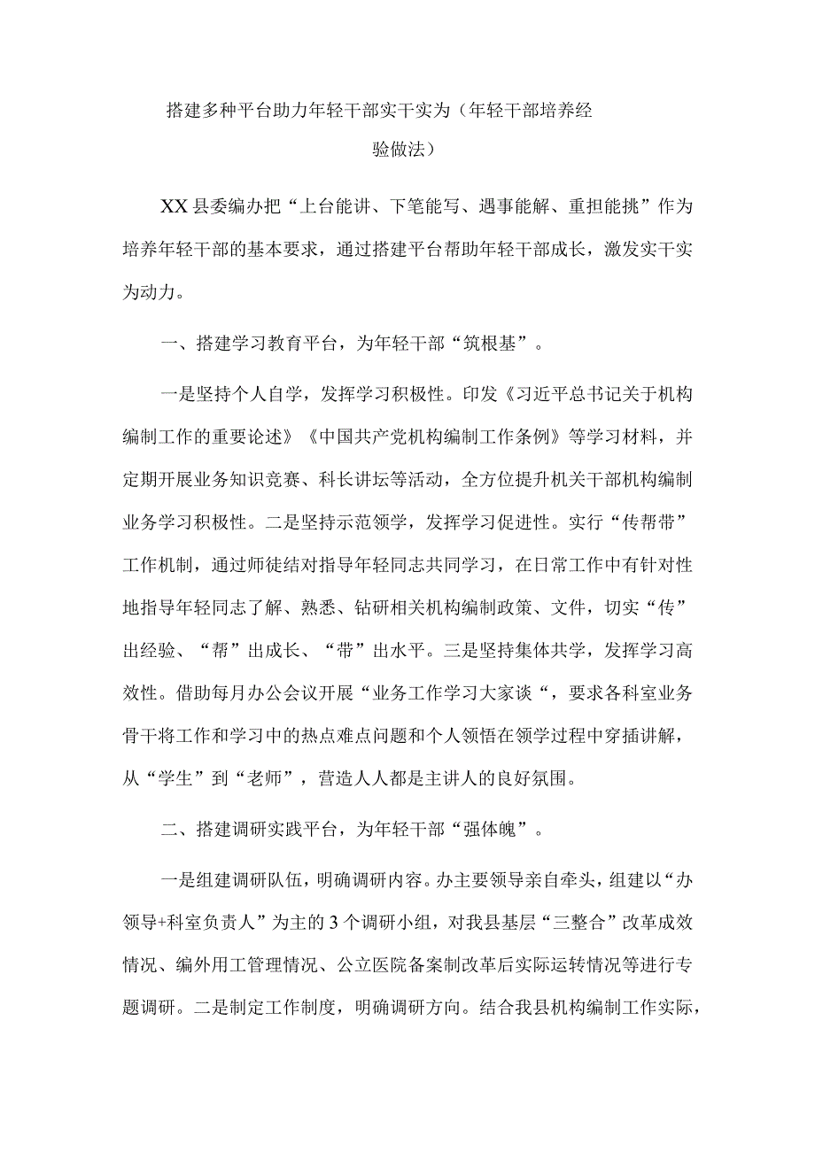 搭建多种平台助力年轻干部实干实为（年轻干部培养经验做法）.docx_第1页