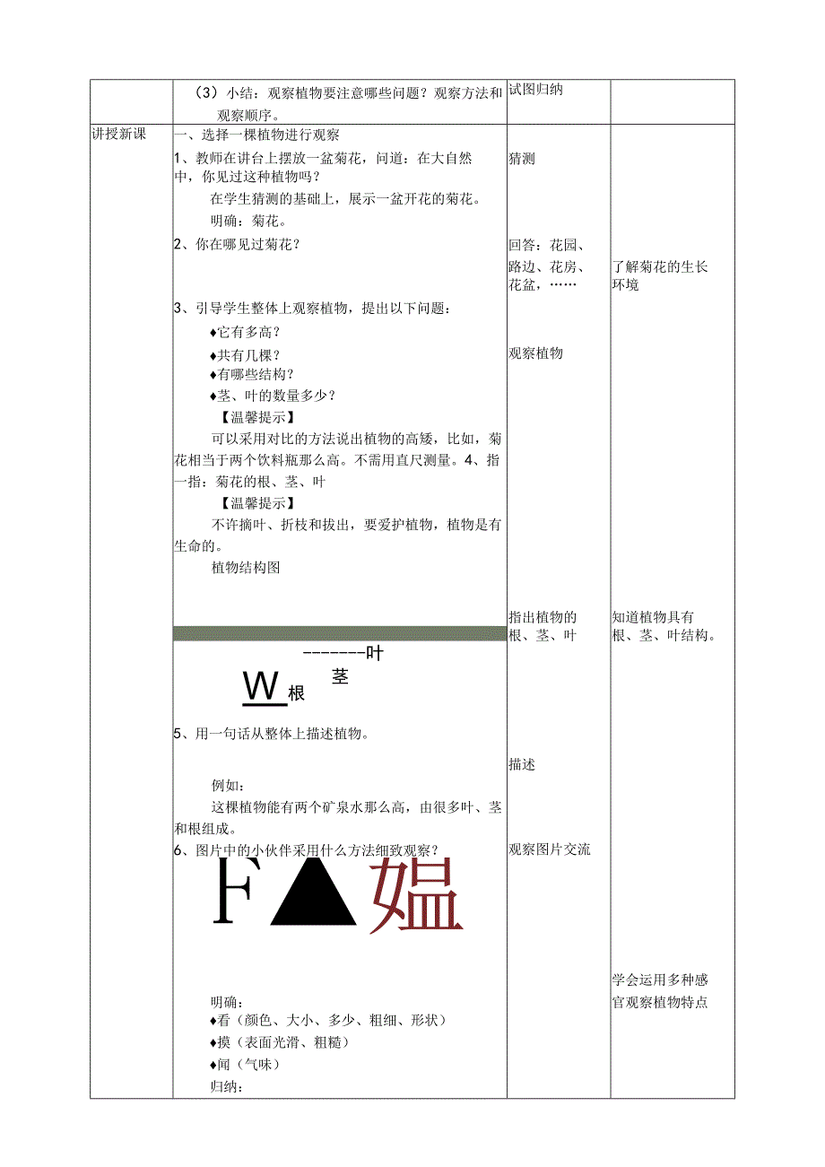 植物观察与习作活动方案.docx_第2页