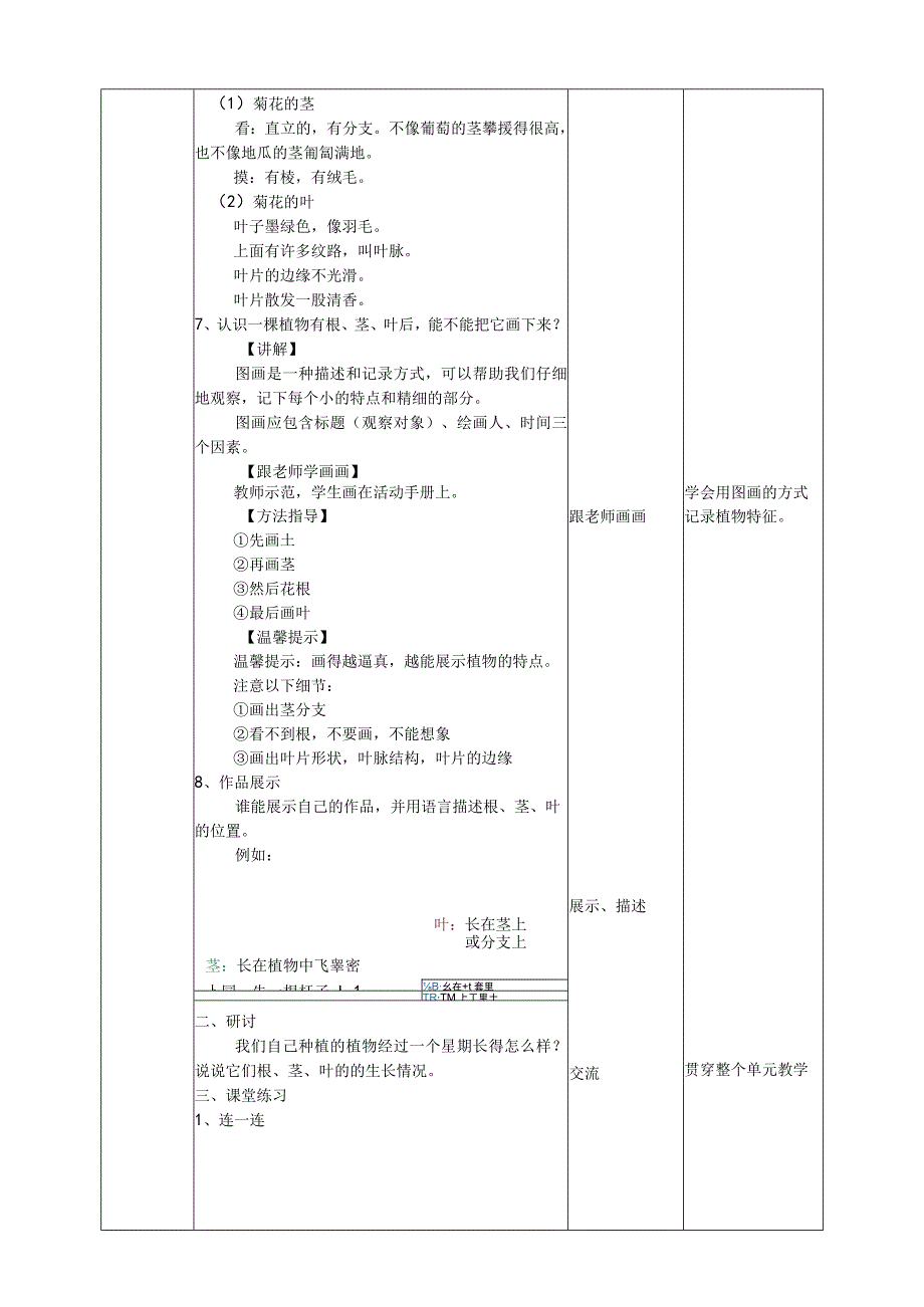 植物观察与习作活动方案.docx_第3页