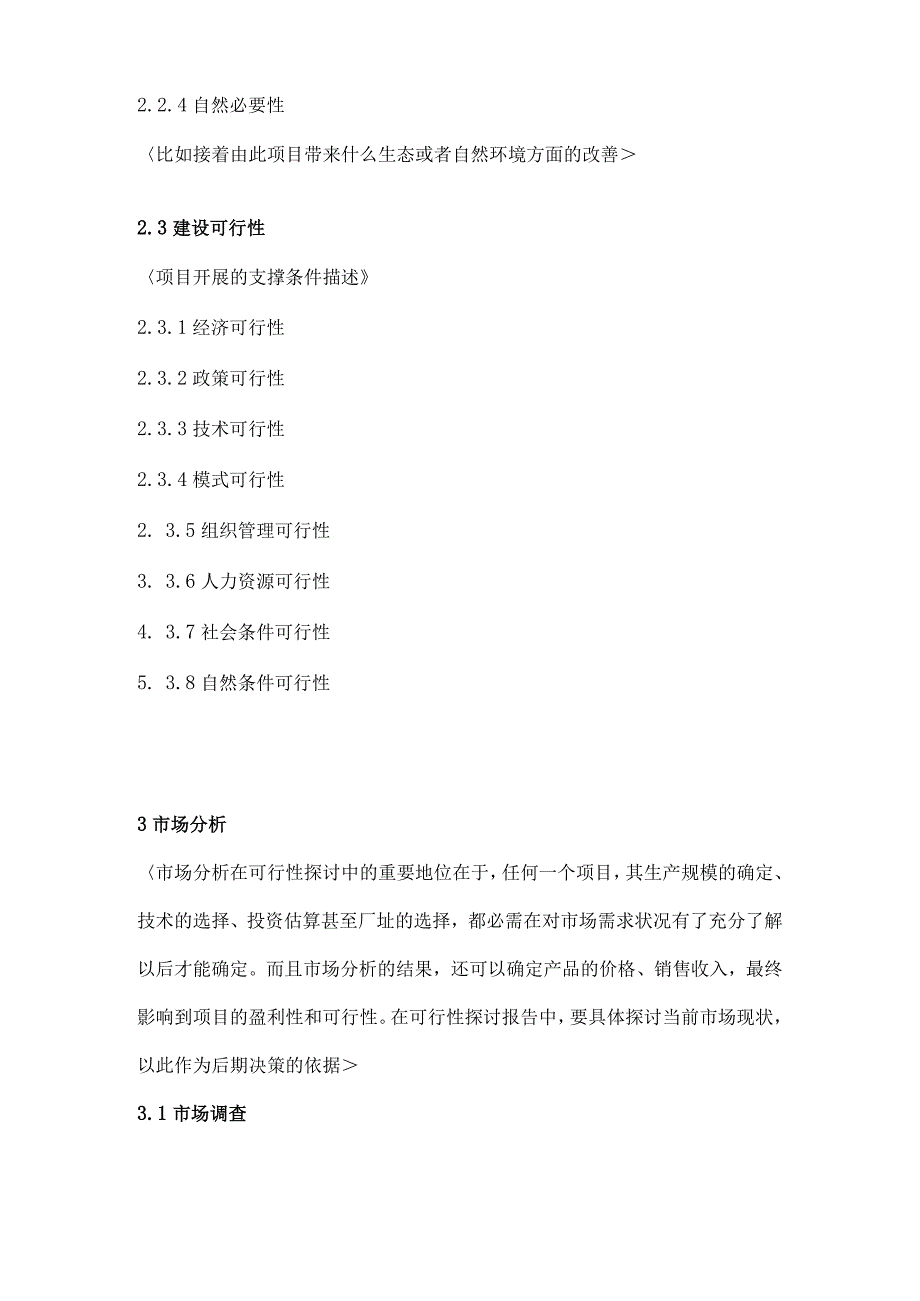 可行性分析报告模板.docx_第3页