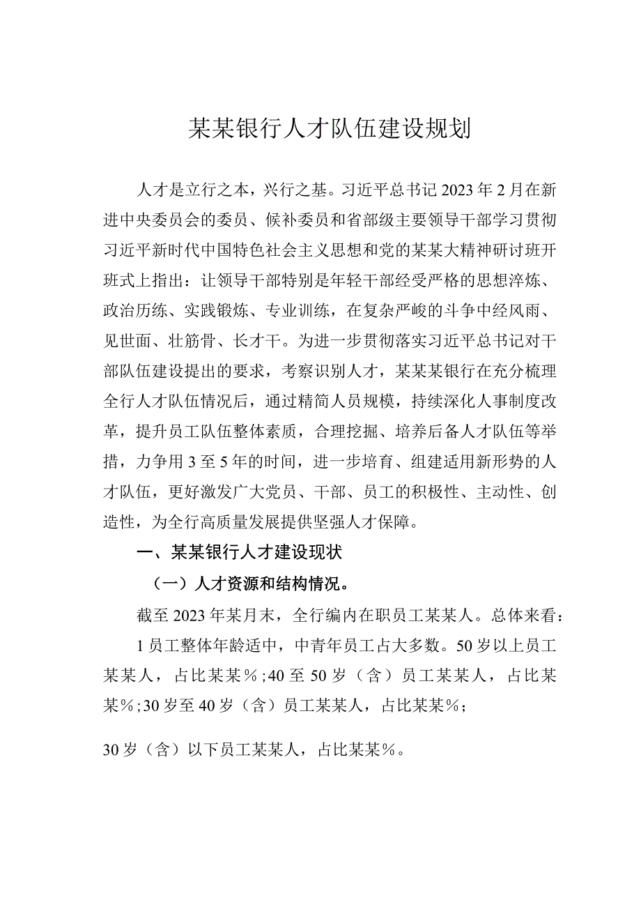 某某银行人才队伍建设规划.docx_第1页