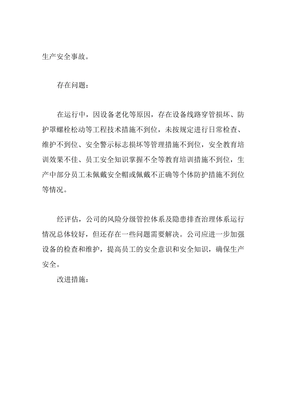 双重预防体系运行情况评审报告.docx_第3页