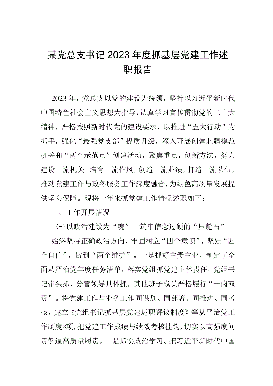 某党总支书记2022年度抓基层党建工作述职报告.docx_第1页