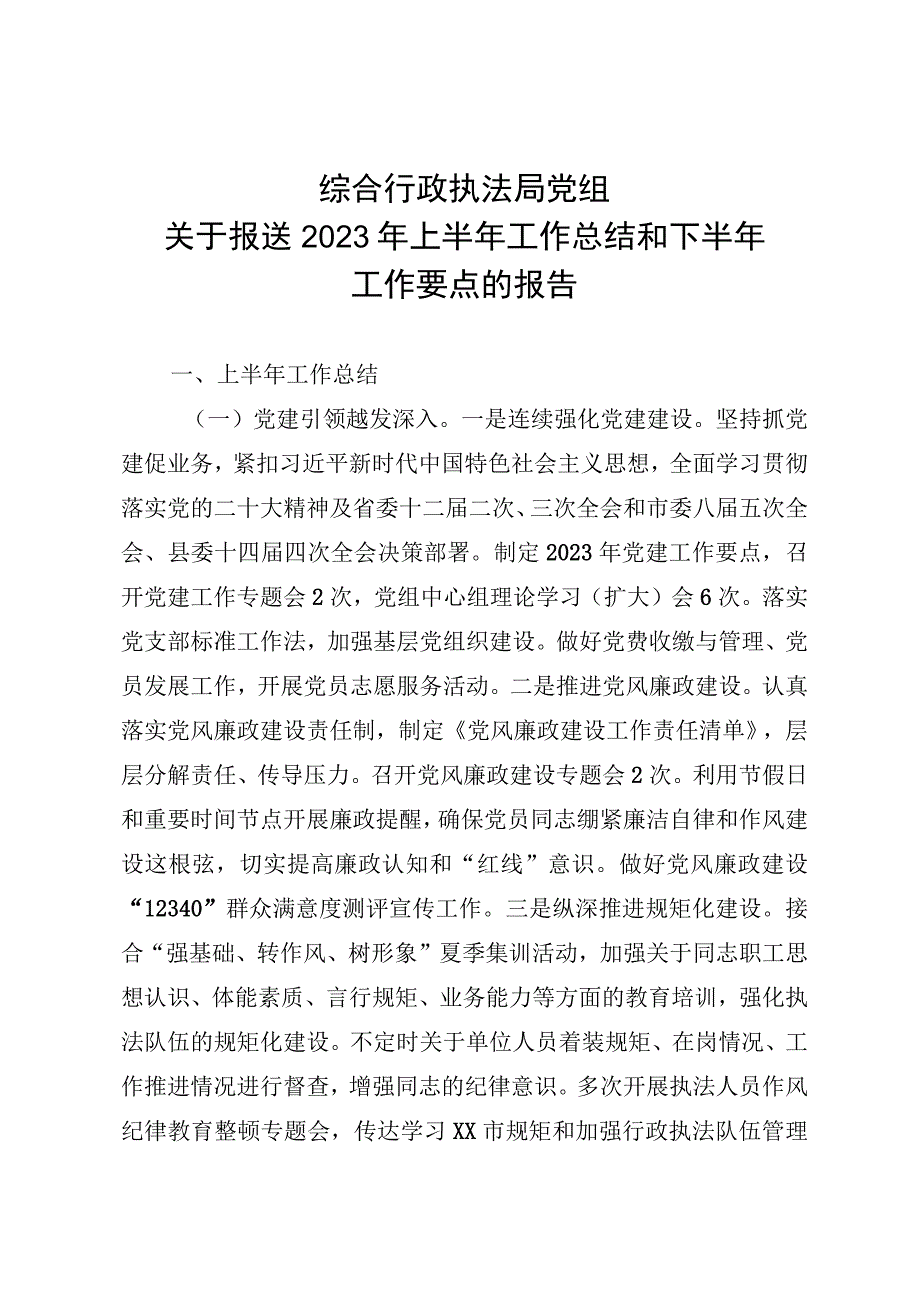 综合行政执法局党组半年总结和下半年计划(1).docx_第1页