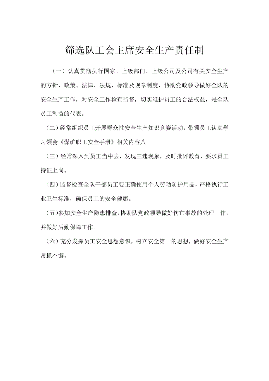 筛选队工会主席安全生产责任制模板范本.docx_第1页