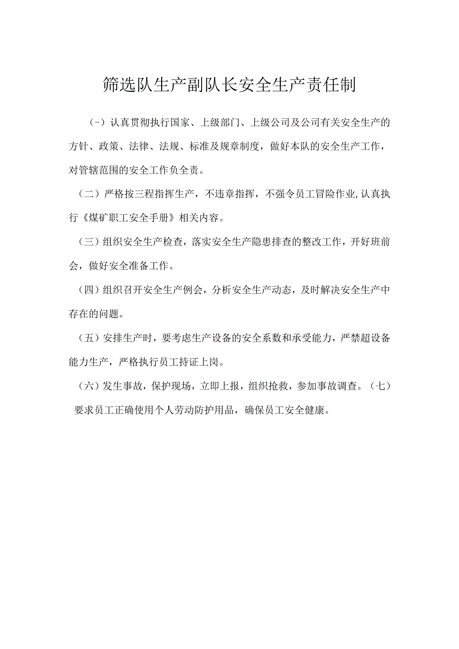 筛选队生产副队长安全生产责任制模板范本.docx_第1页