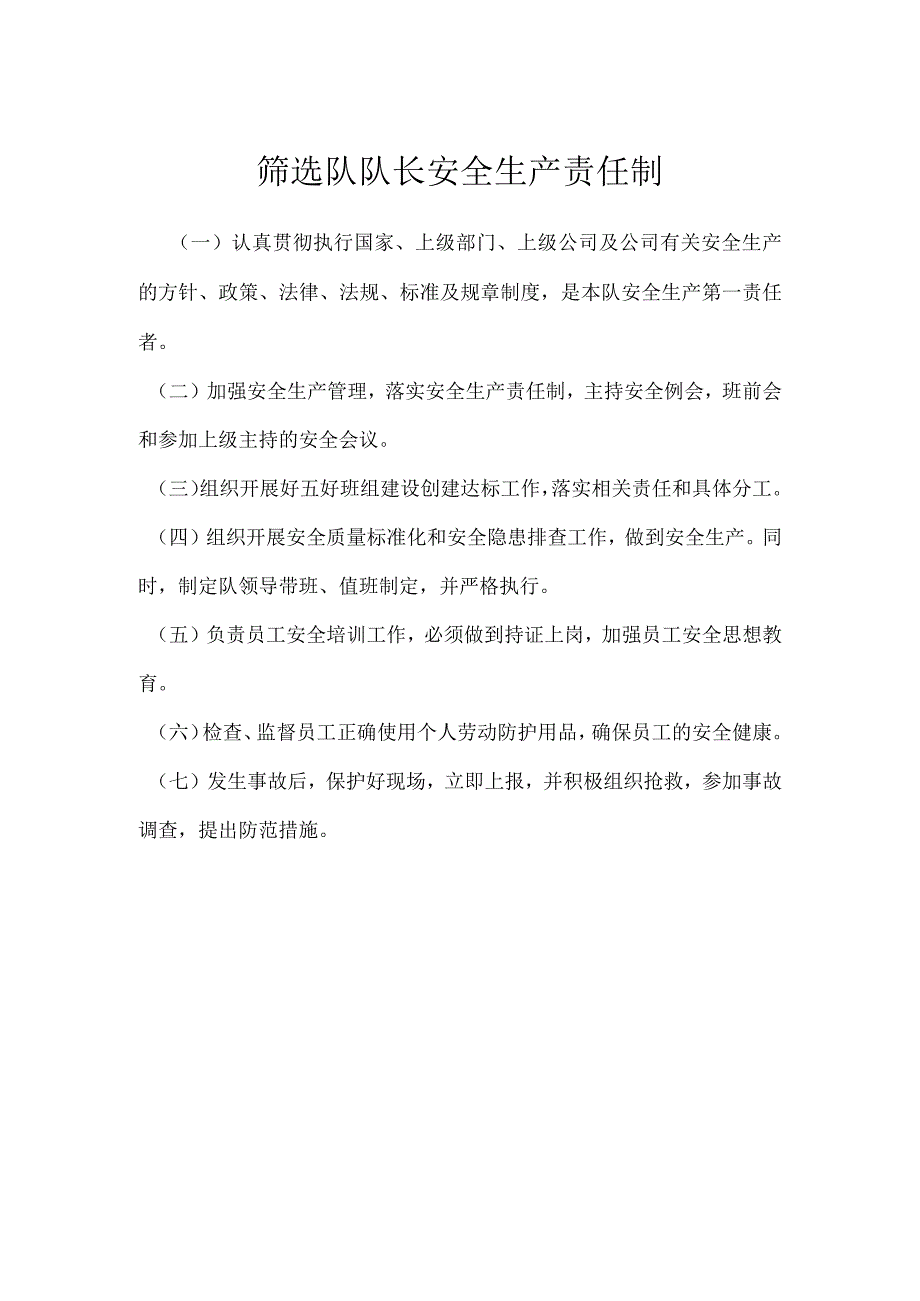 筛选队队长安全生产责任制模板范本.docx_第1页