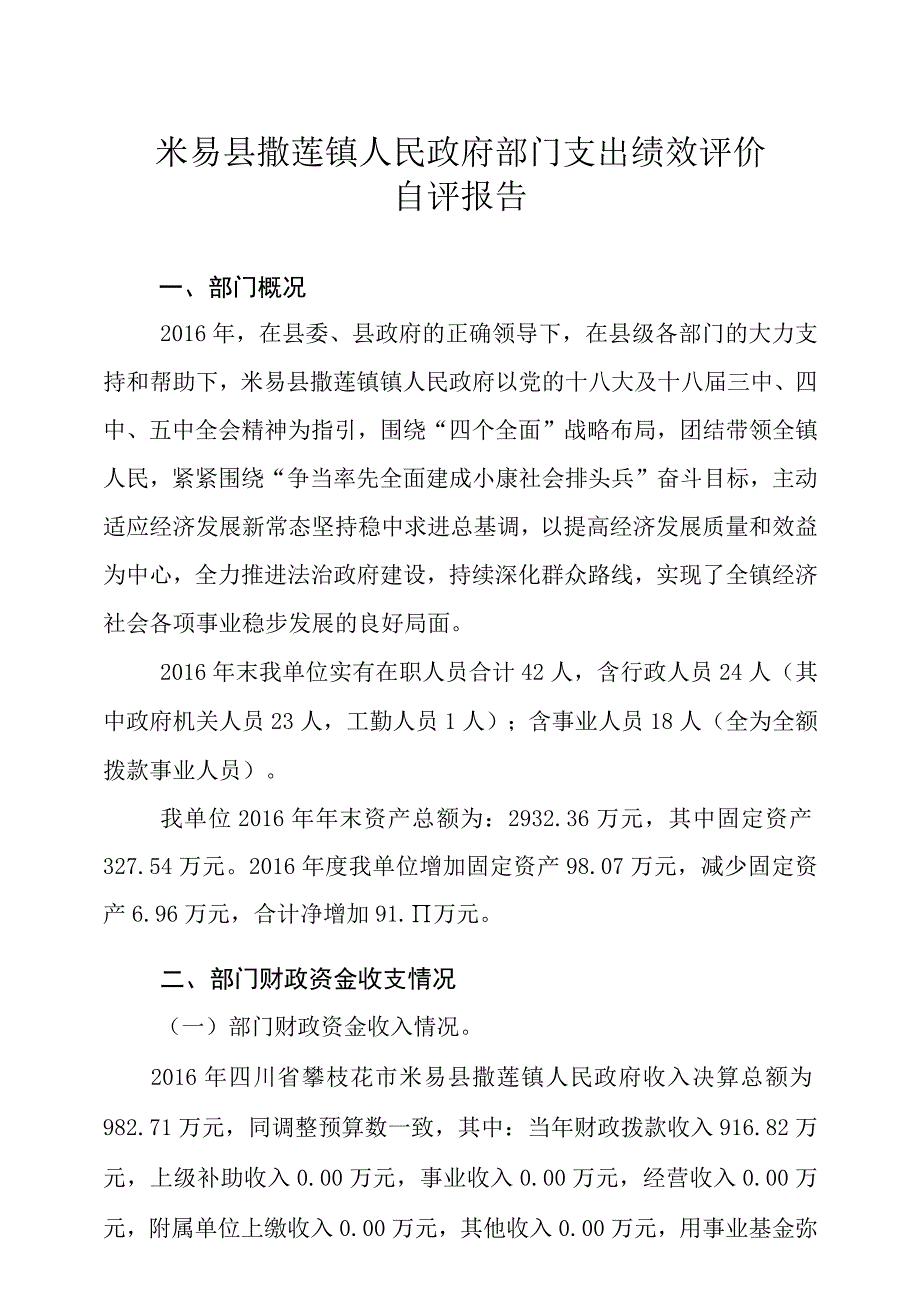 米易县撒莲镇人民政府部门支出绩效评价.docx_第1页