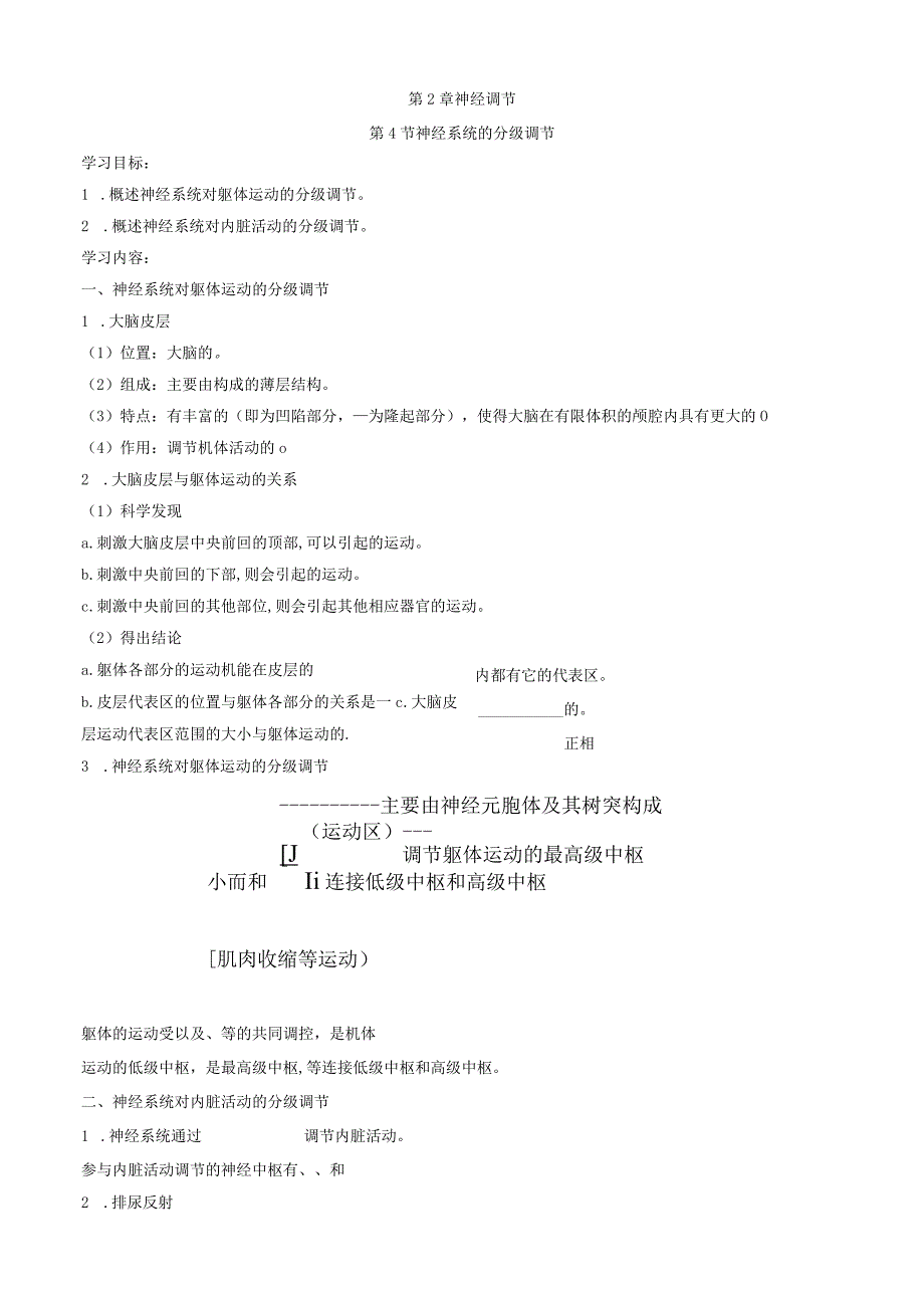 神经系统的分级调节 导学案.docx_第1页