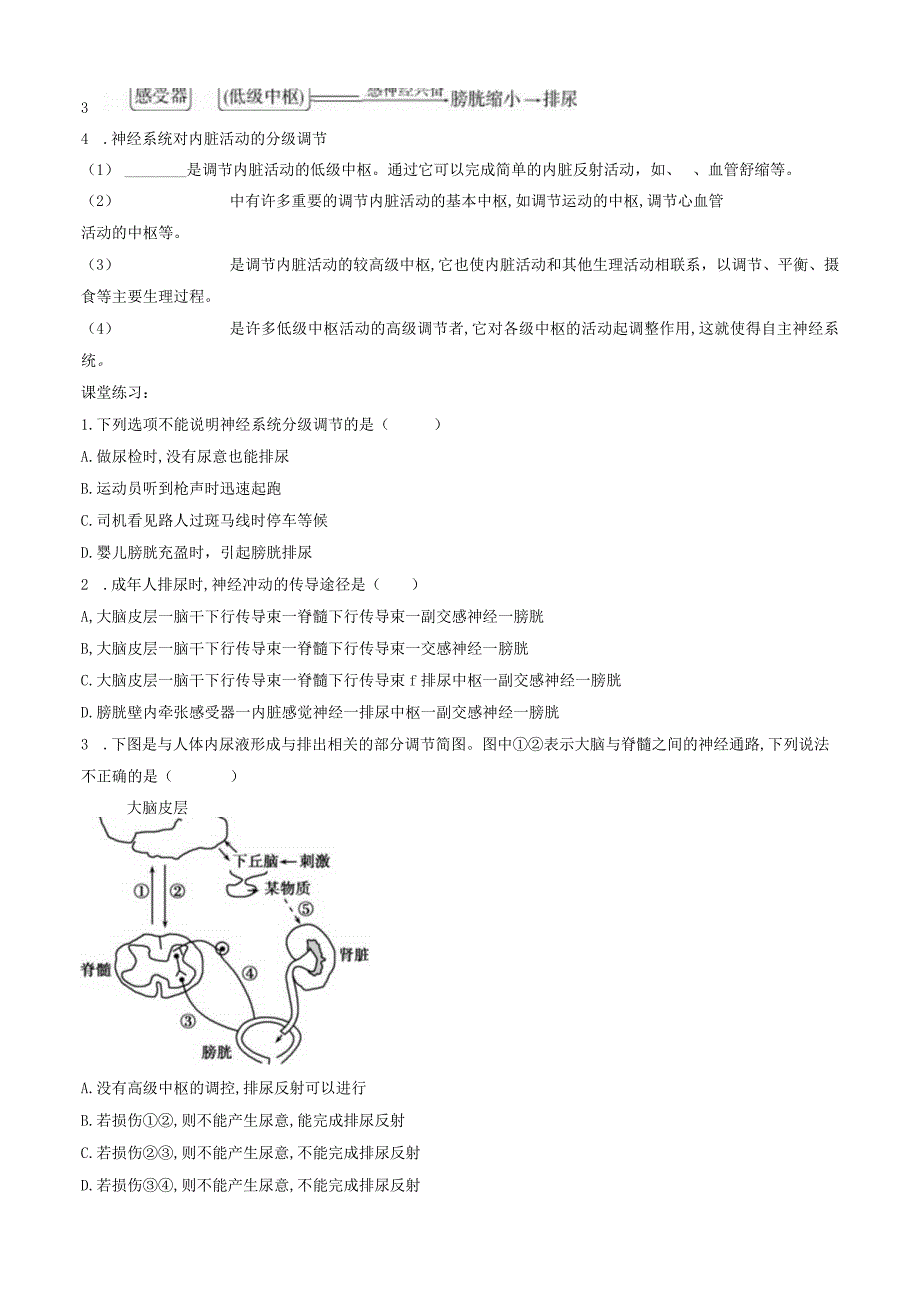 神经系统的分级调节 导学案.docx_第2页