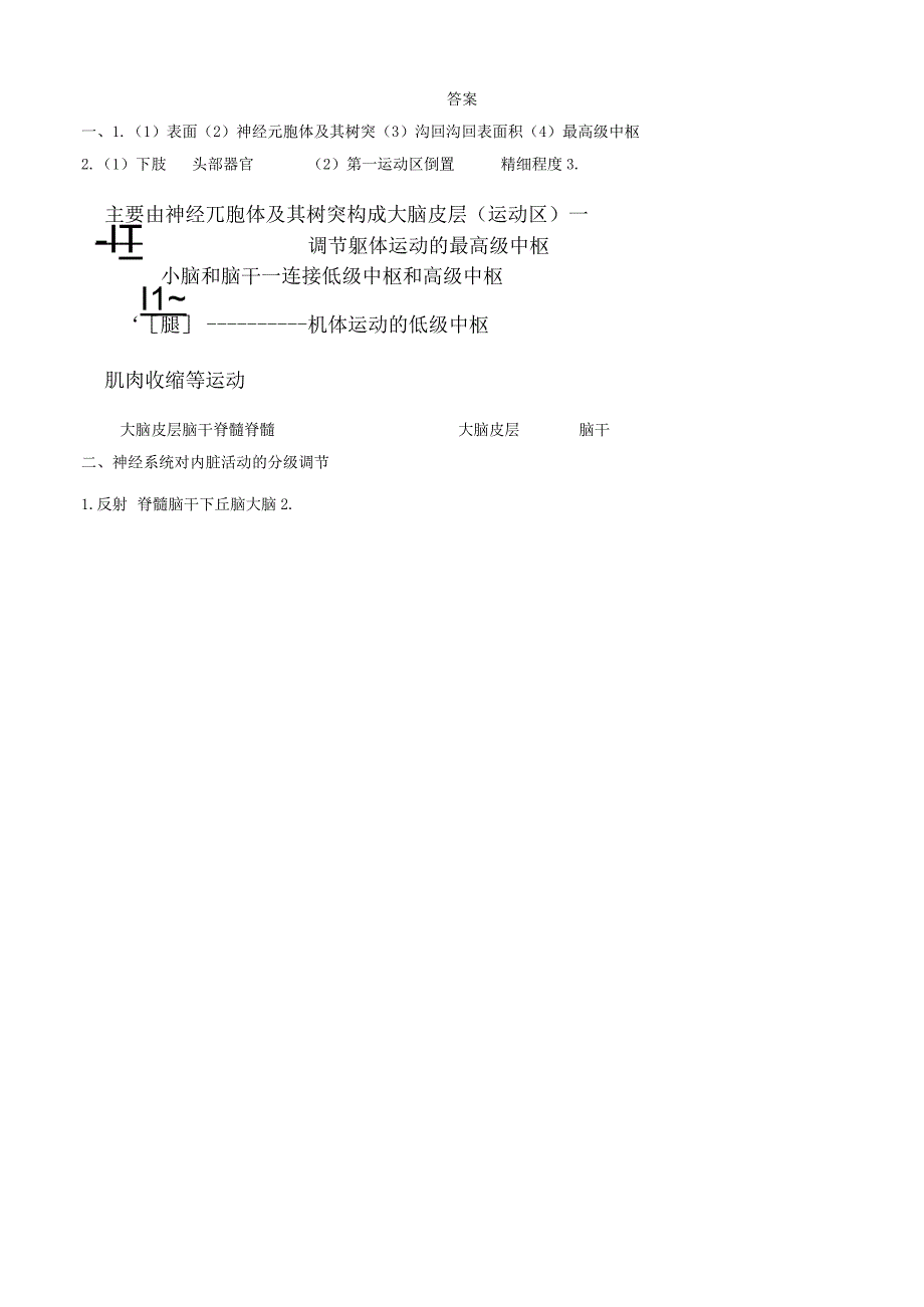 神经系统的分级调节 导学案.docx_第3页