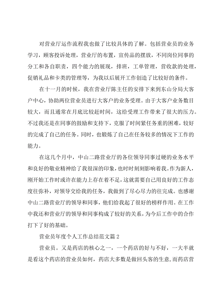 营业员年度个人工作总结范文（17篇）.docx_第2页