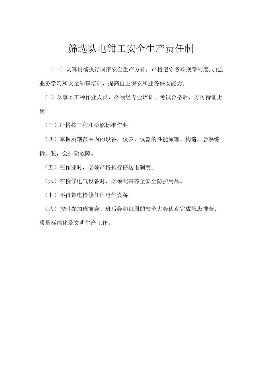 筛选队电钳工安全生产责任制模板范本.docx_第1页