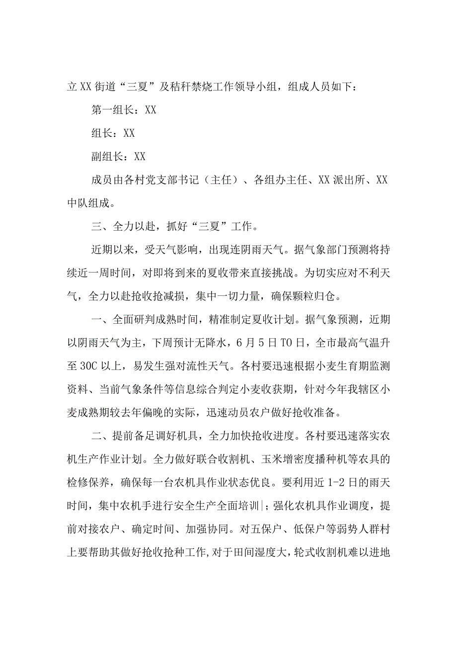 2023年度“三夏”及秸秆禁烧工作的实施方案.docx_第2页