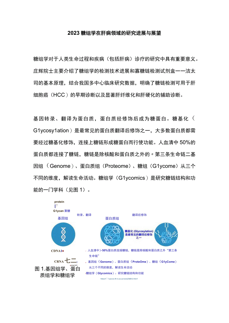 2023糖组学在肝病领域的研究进展与展望.docx_第1页