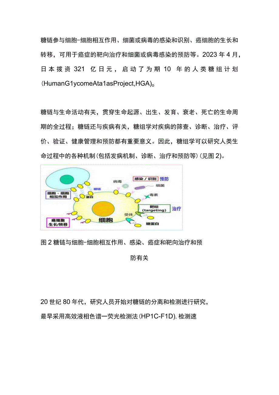 2023糖组学在肝病领域的研究进展与展望.docx_第2页