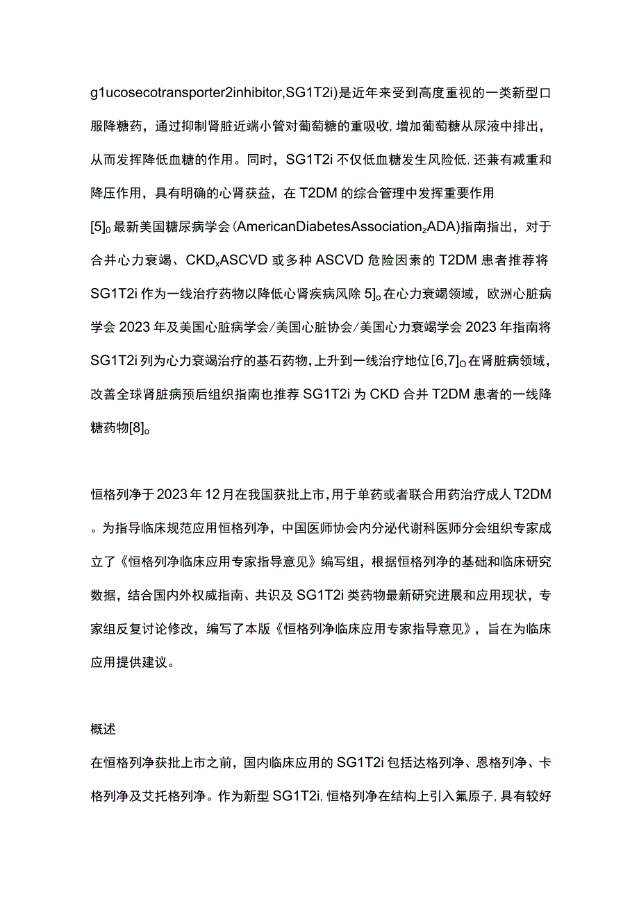 2023恒格列净临床应用专家指导意见.docx_第2页