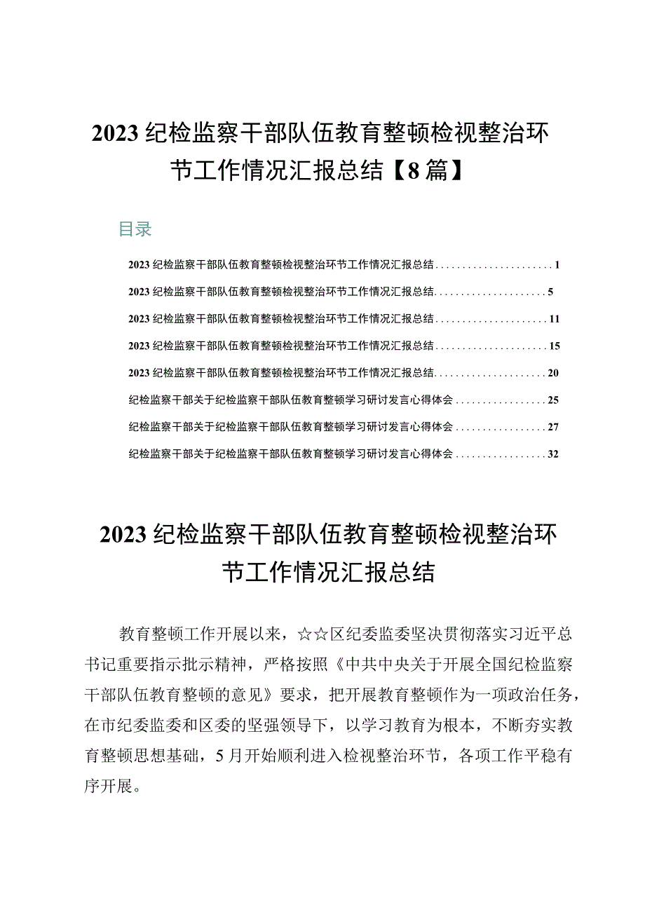 2023纪检监察干部队伍教育整顿检视整治环节工作情况汇报总结【8篇】.docx_第1页