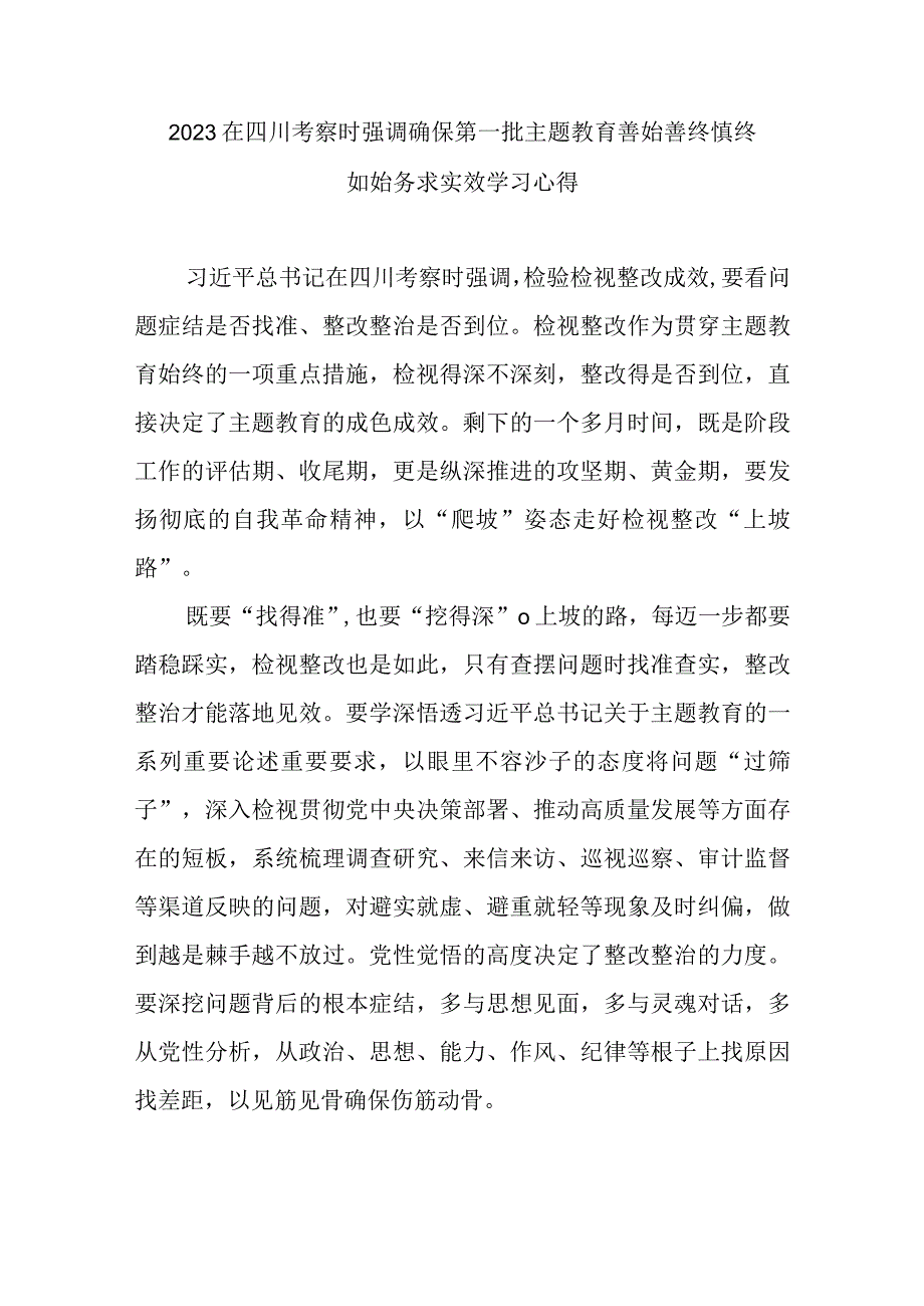 2023在四川考察时强调确保第一批主题教育善始善终慎终如始务求实效学习心得3篇.docx_第1页