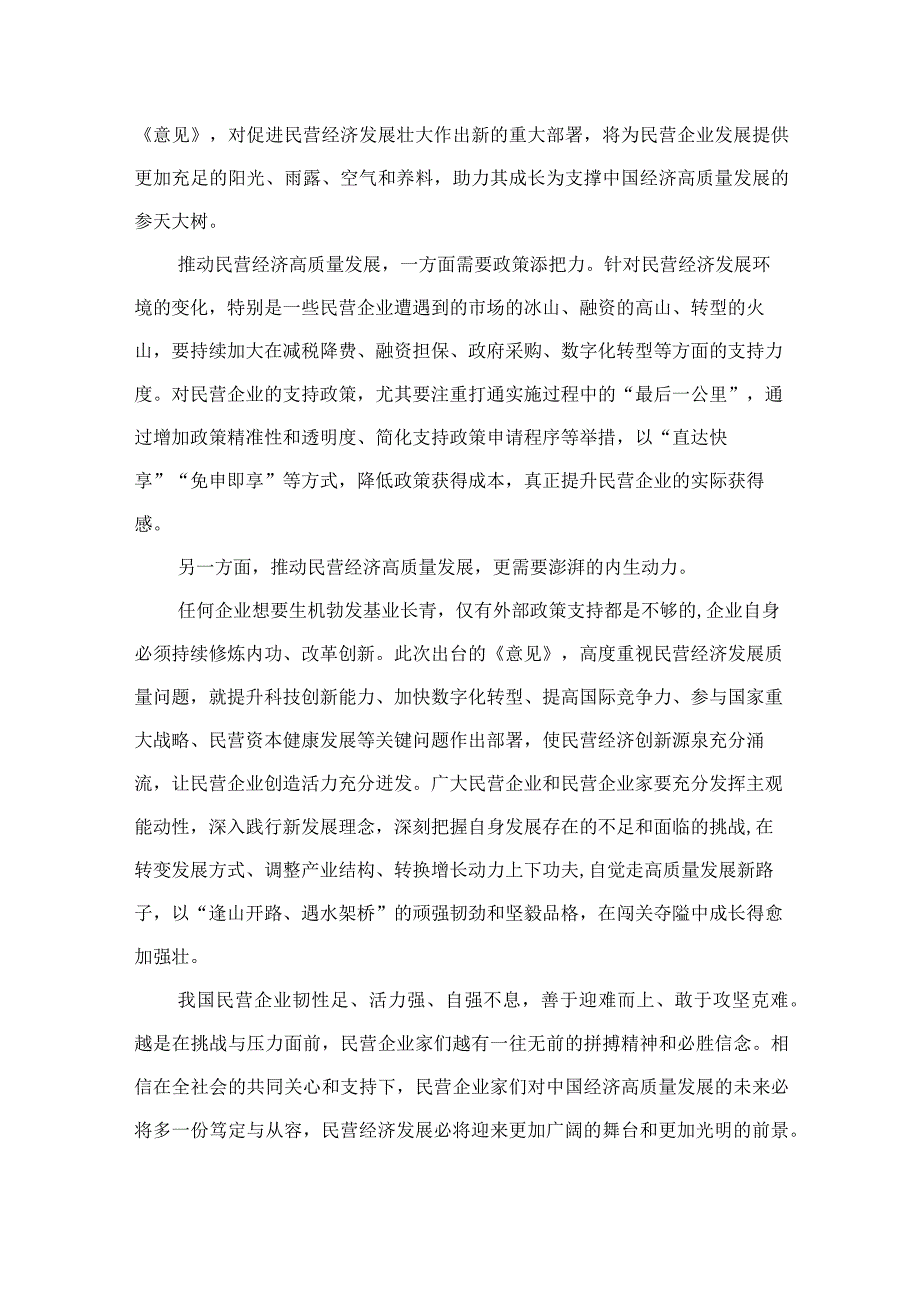 2023学习贯彻《关于促进民营经济发展壮大的意见》心得体会研讨发言材料(精选10篇合集).docx_第2页