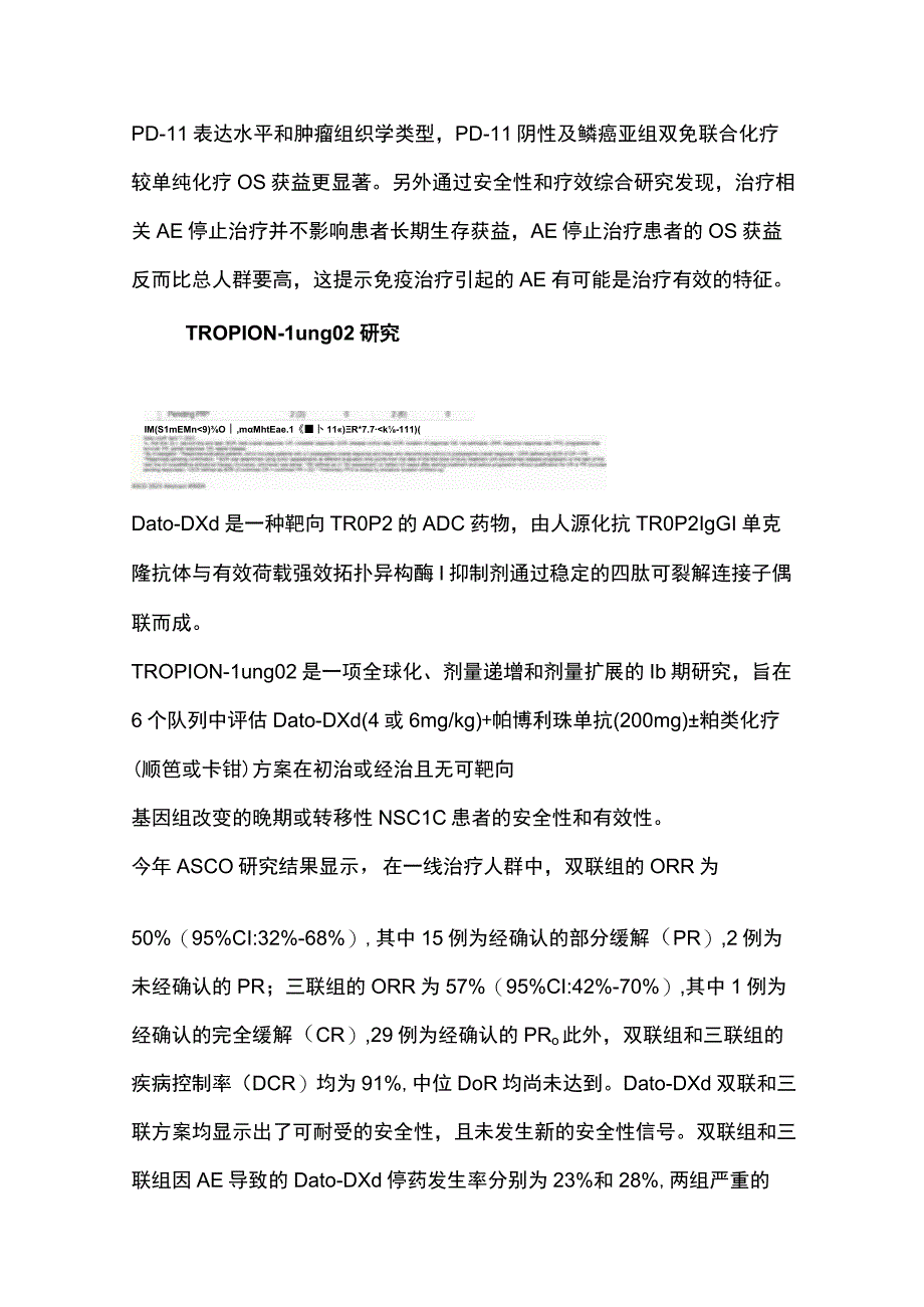 2023晚期非小细胞肺癌免疫治疗进展.docx_第3页