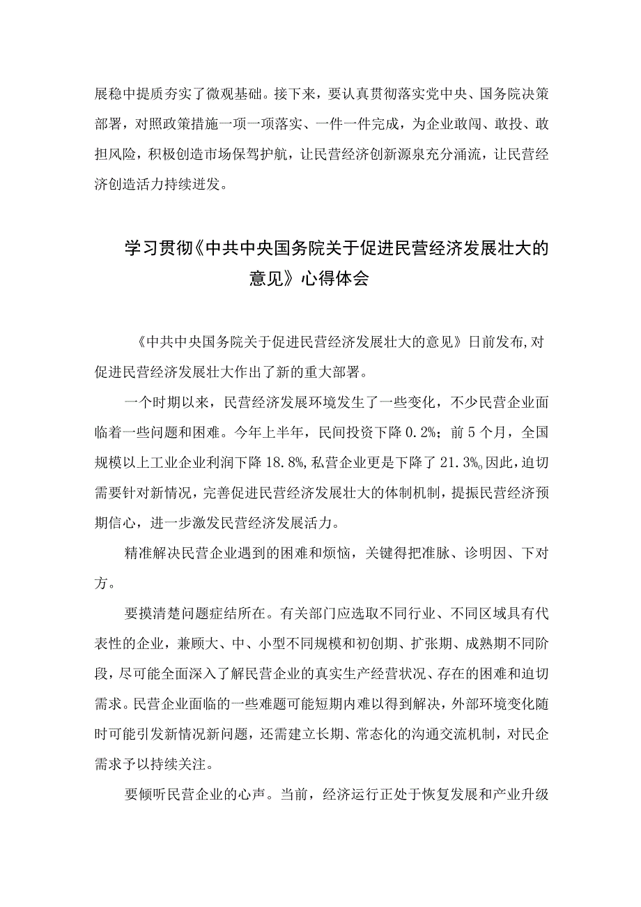 2023贯彻落实《关于实施促进民营经济发展近期若干举措的通知》心得发言稿7篇(最新精选).docx_第3页