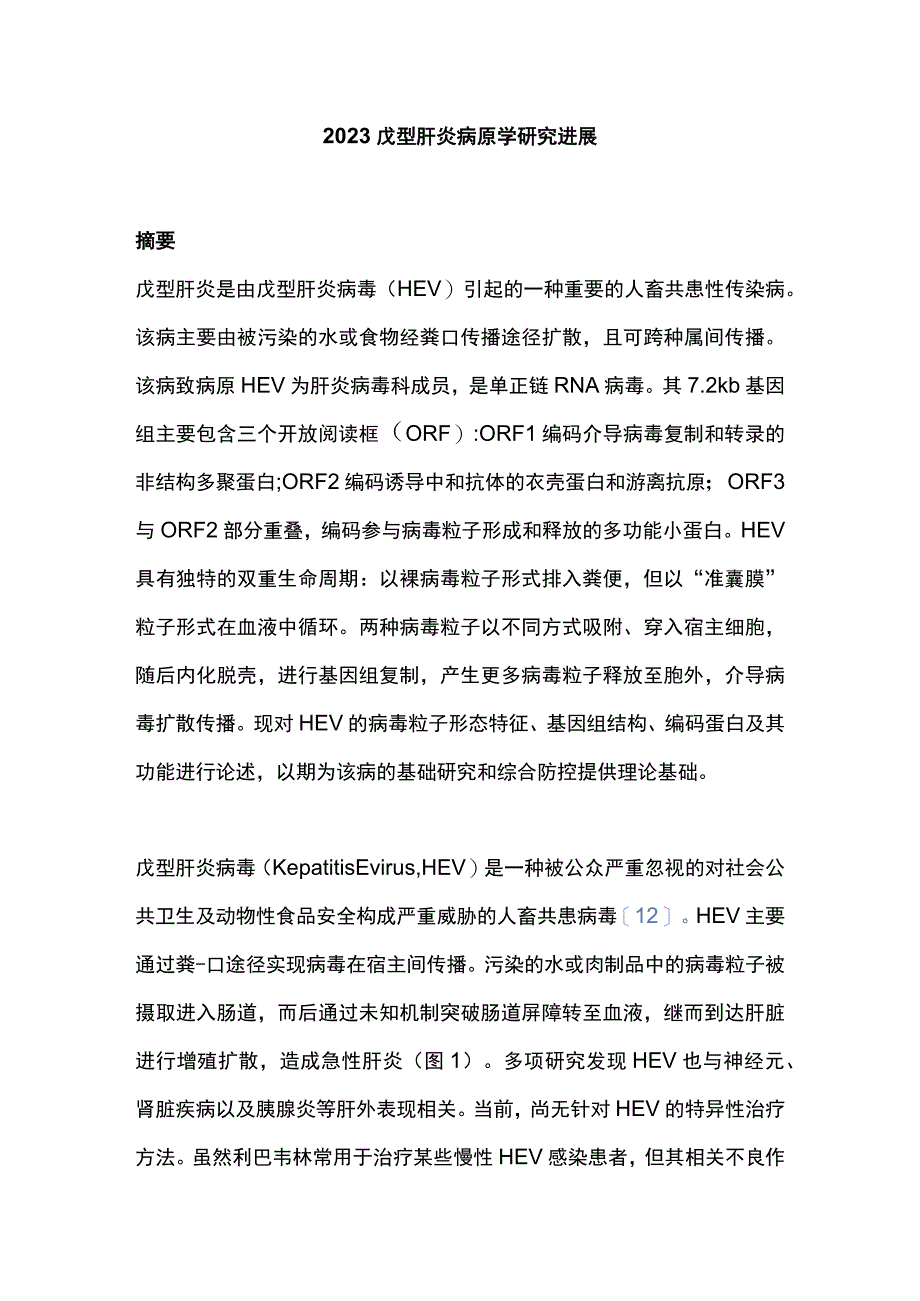 2023戊型肝炎病原学研究进展.docx_第1页