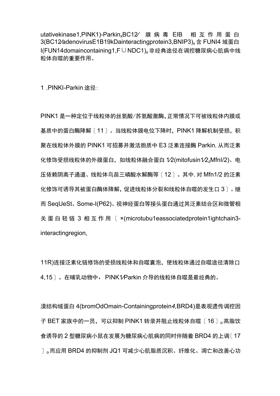 2023线粒体自噬在糖尿病心肌病中的研究进展.docx_第3页