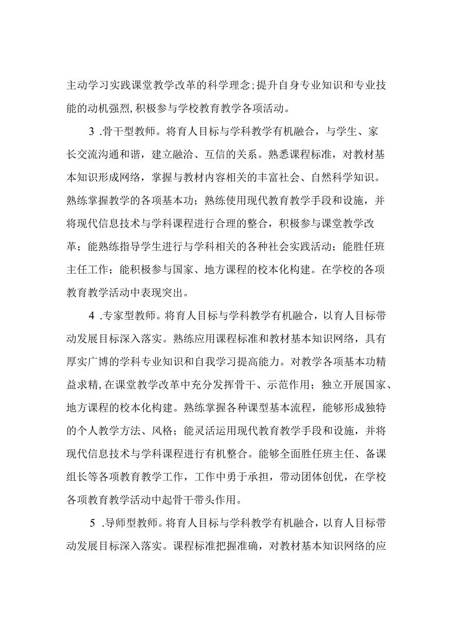 XX学校教师层级发展机制的实施方案.docx_第2页