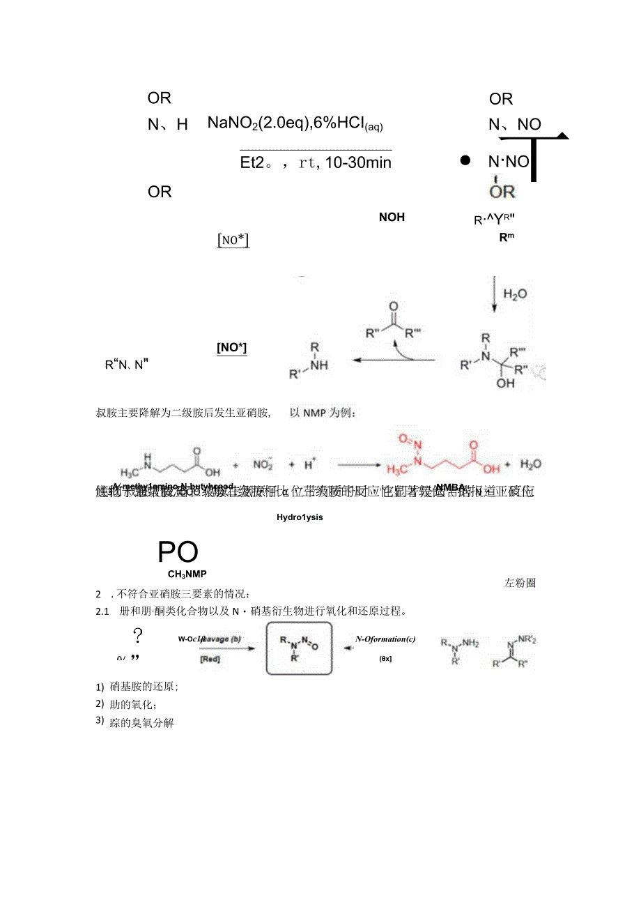 亚硝胺的机制及全新的亚硝胺风险评估体系.docx_第2页