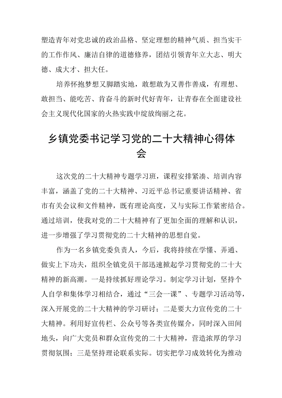 乡镇纪委书记学习贯彻党的二十大精神心得体会(4篇).docx_第2页