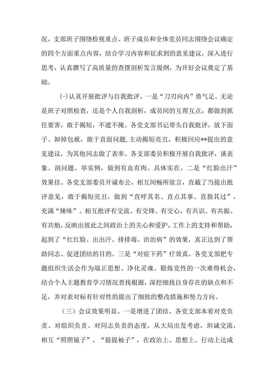 2023年专题组织生活的情况报告.docx_第2页