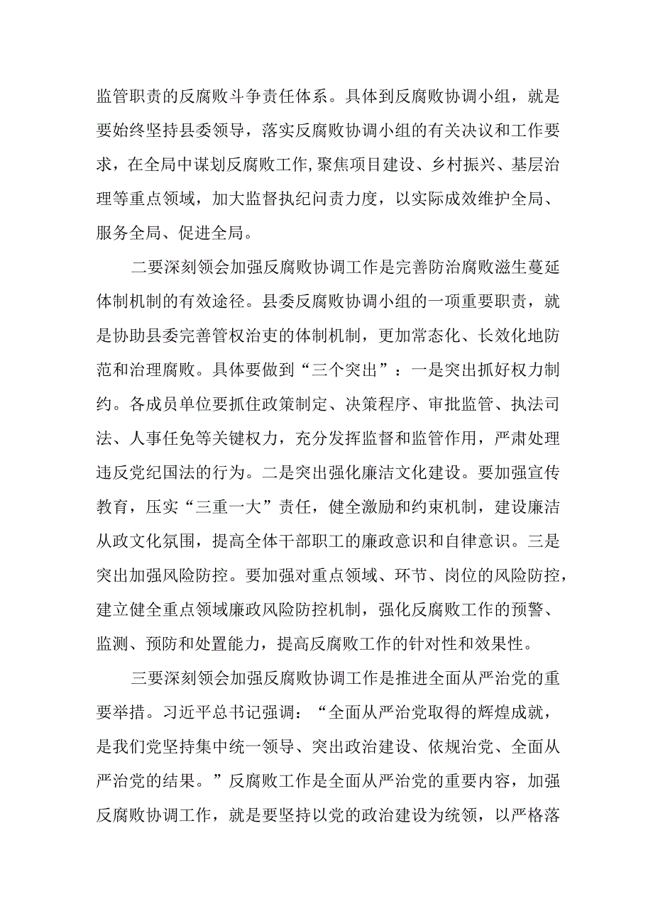 2023年县纪委书记在县委反腐败协调小组会议上的讲话.docx_第2页