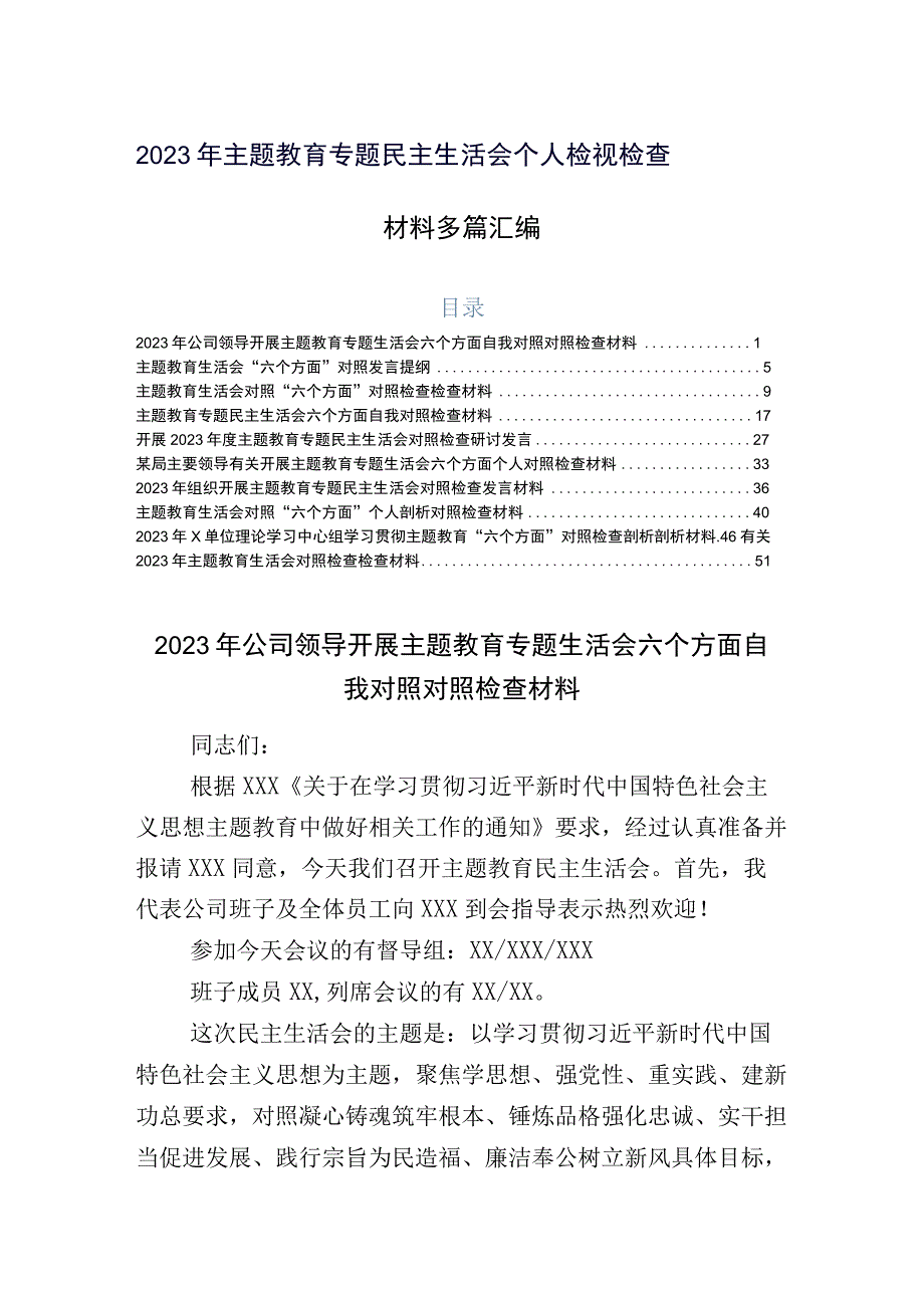 2023年主题教育专题民主生活会个人检视检查材料多篇汇编.docx_第1页