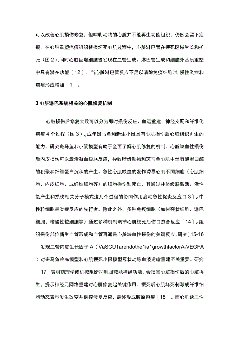 2023心脏淋巴系统与心肌梗死后心肌修复的研究进展.docx_第3页