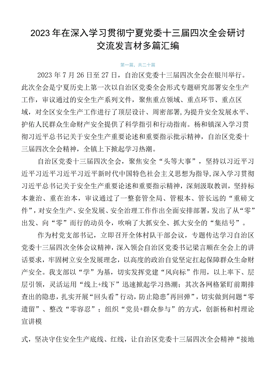 2023年在深入学习贯彻宁夏党委十三届四次全会研讨交流发言材多篇汇编.docx_第1页