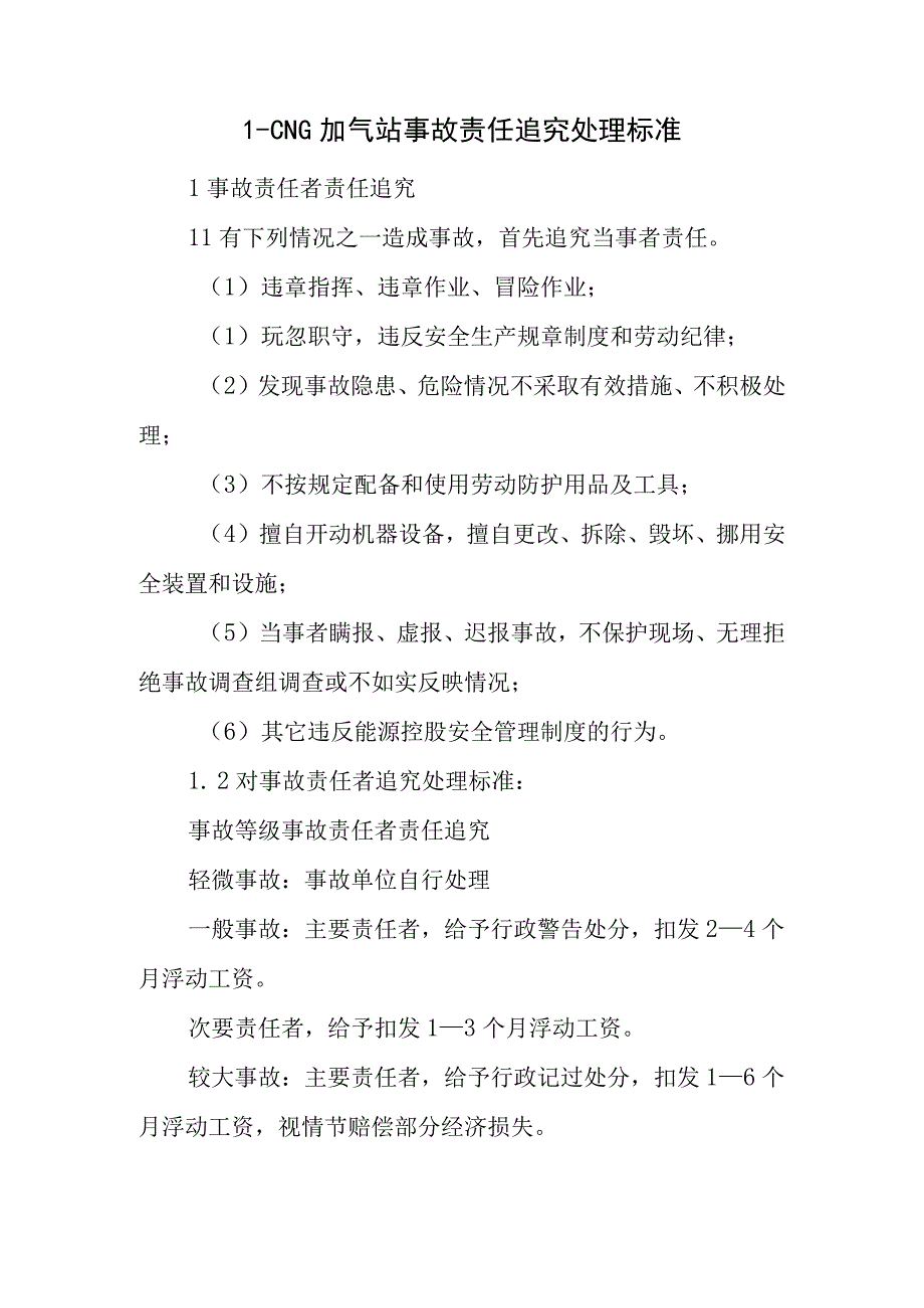 L-CNG加气站事故责任追究处理标准.docx_第1页