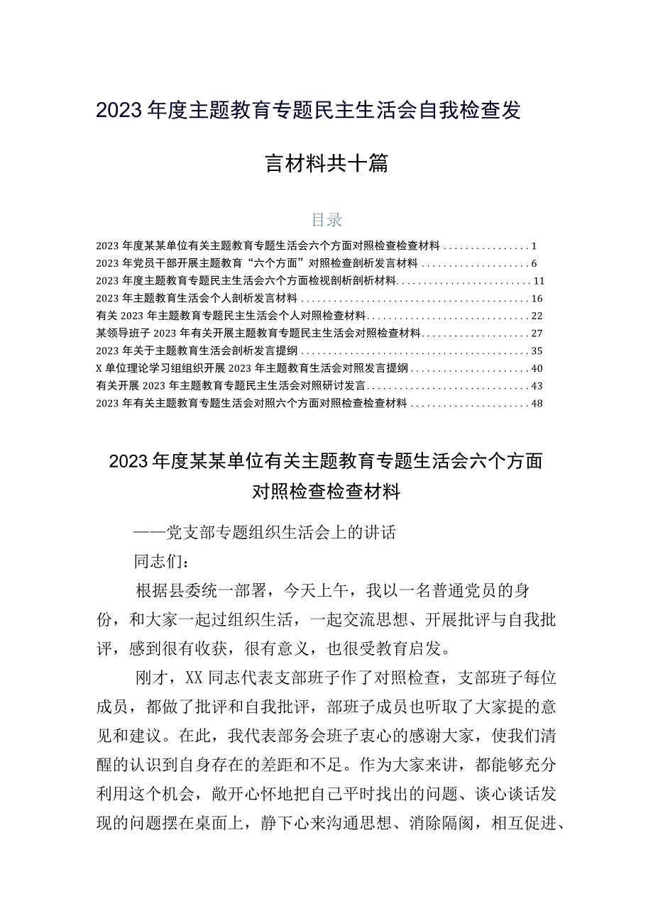 2023年度主题教育专题民主生活会自我检查发言材料共十篇.docx_第1页