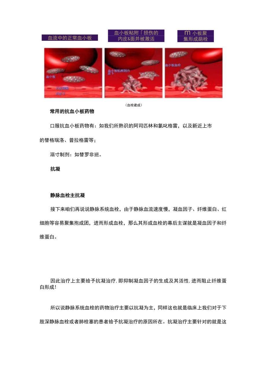 3分钟读懂抗凝与抗栓.docx_第3页