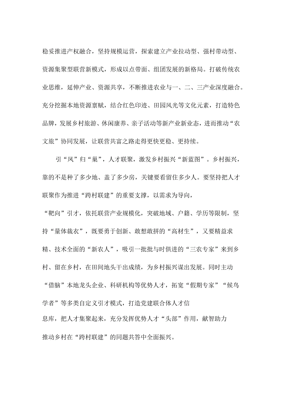 乡村振兴“跨村联建”心得体会发言.docx_第2页