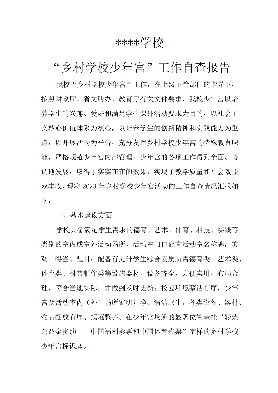 “乡村学校少年宫”工作自查报告.docx_第1页