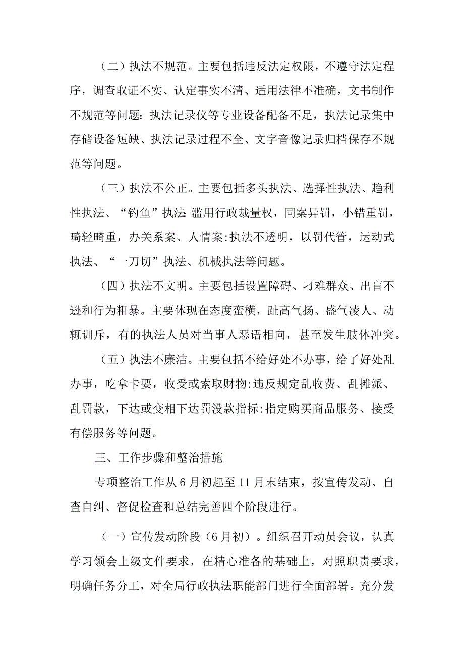 XX市分局行政执法领域重点问题专项整治工作方案.docx_第2页