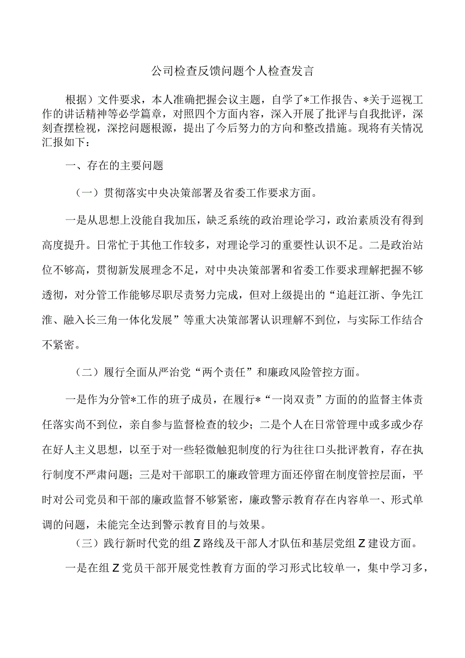 公司检查反馈问题个人检查发言.docx_第1页