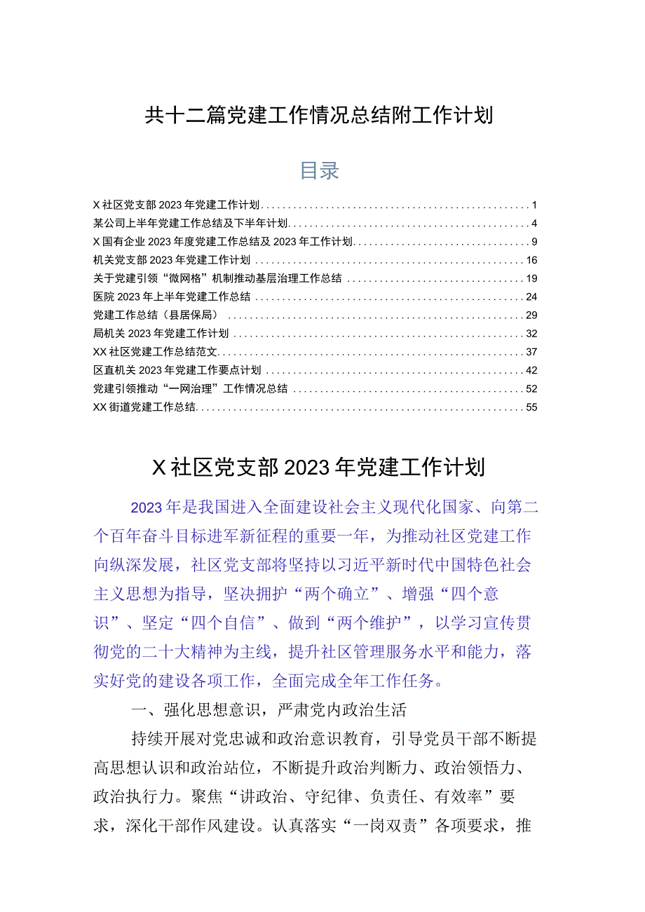 共十二篇党建工作情况总结附工作计划.docx_第1页