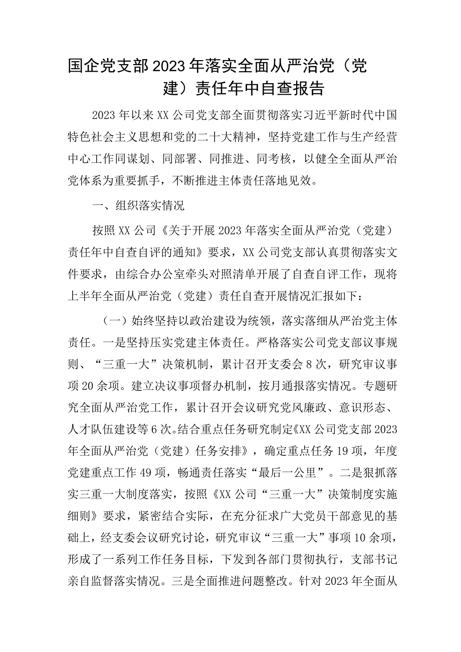 国企公司党支部2023年落实全面从严治党（党建）责任年中自查总结报告6000字.docx_第1页