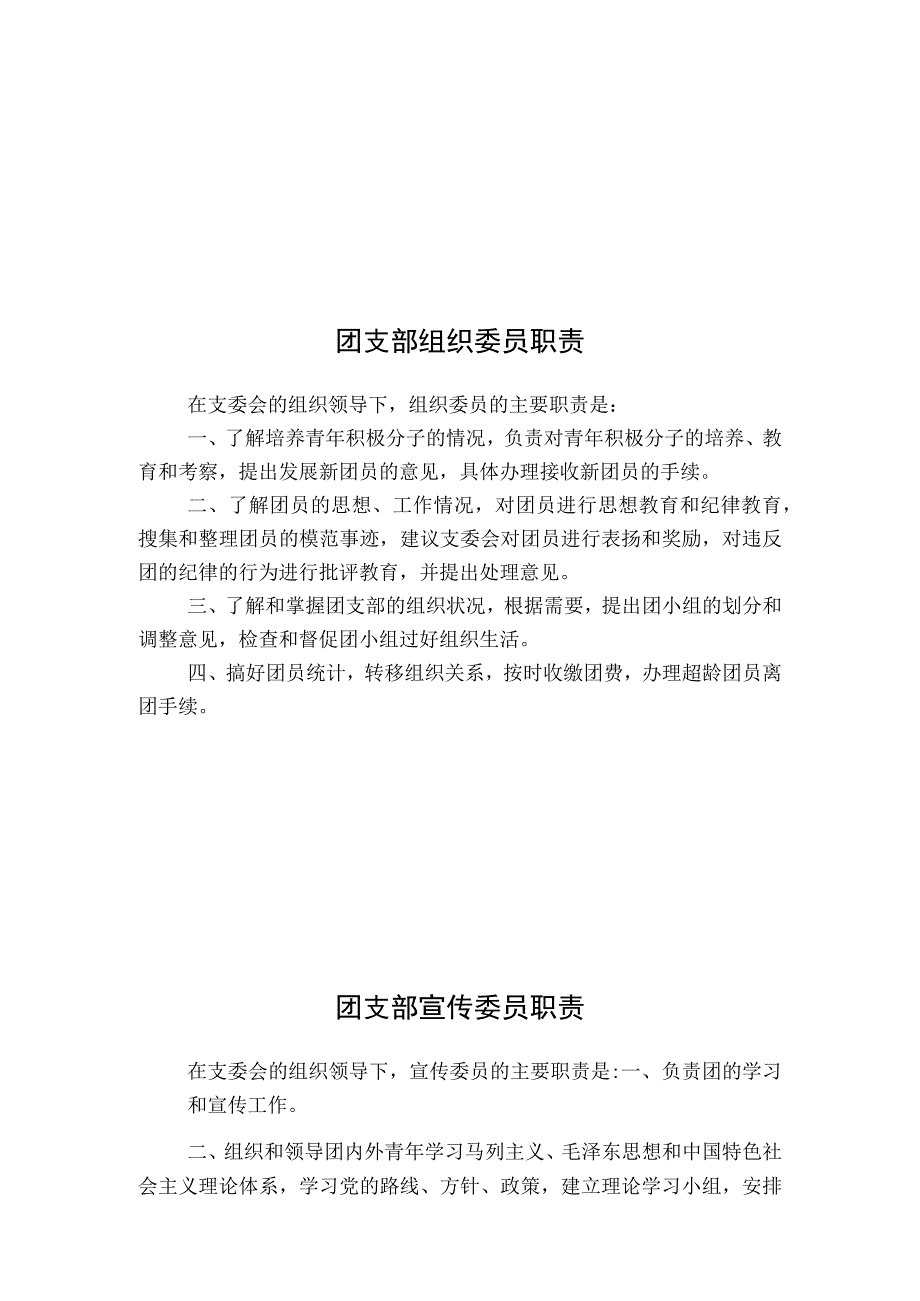 团支部各岗位职责.docx_第2页